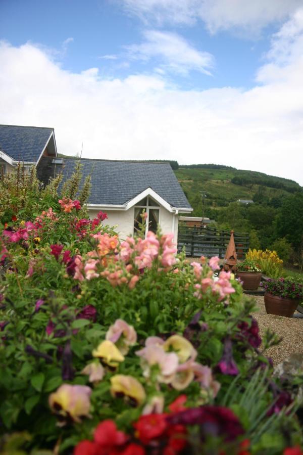 Wicklow Way Lodge Exterior foto